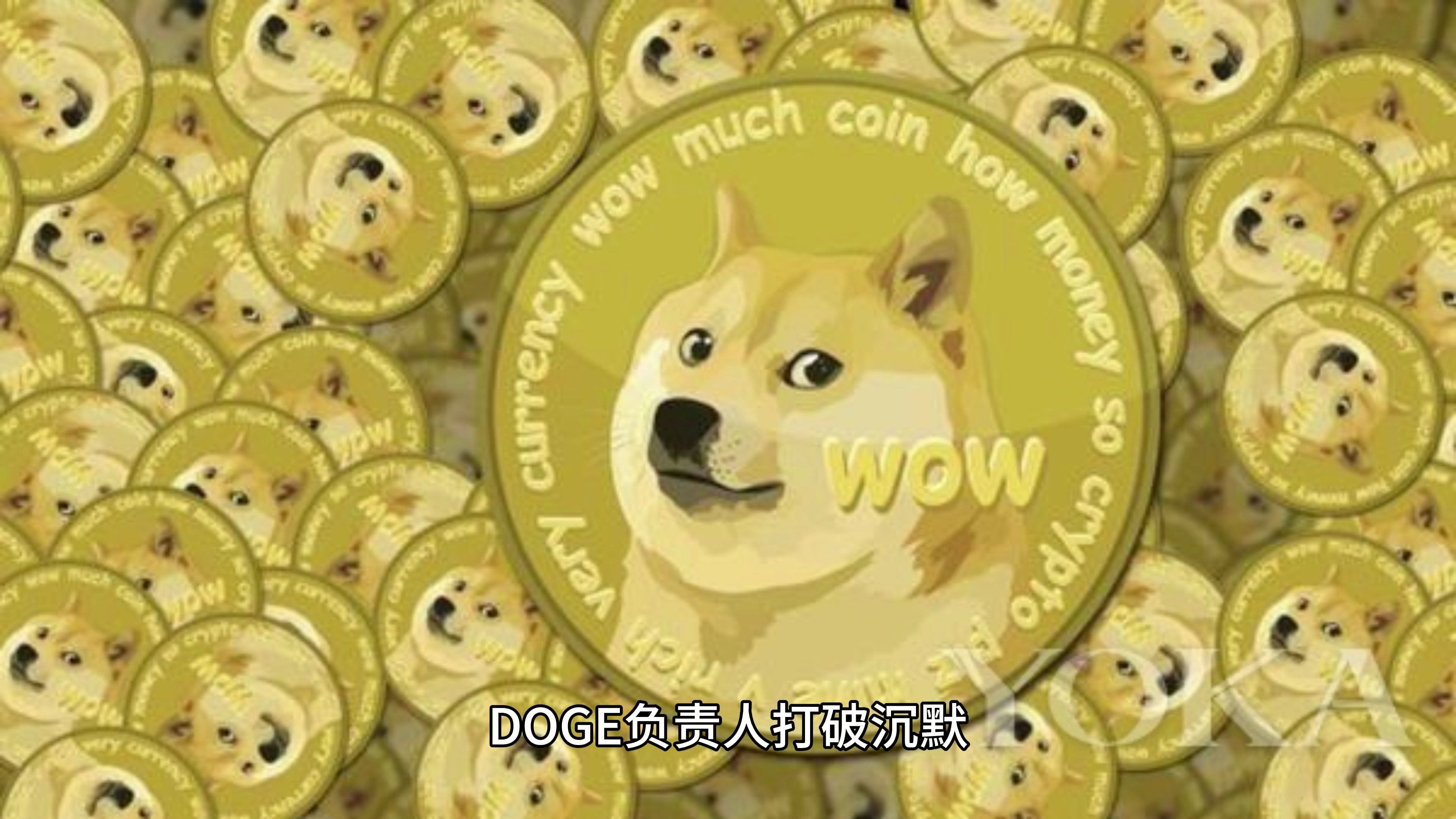 比特币上扬势惊人，一夜飙升狗狗币%，加密市场沸腾